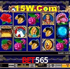 Experiência VIP Bet565